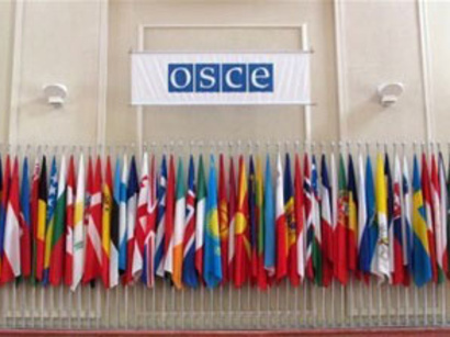 OSCE_Parliament_Assembly_180512_2