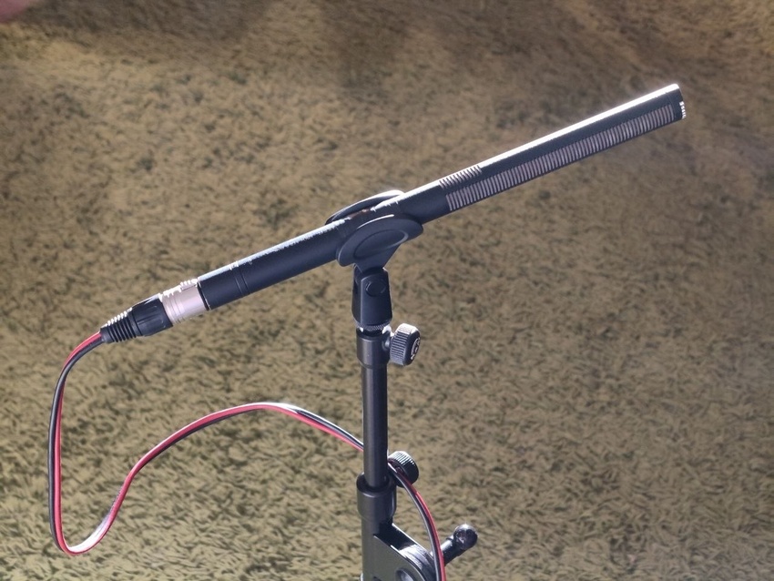 mic